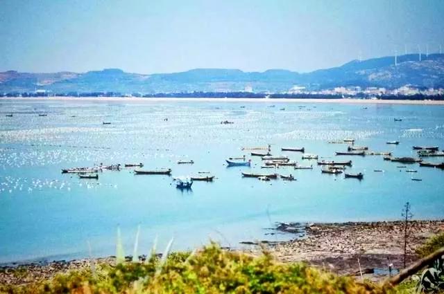 漳州古镇游玩,漳州市旅游古镇有哪些