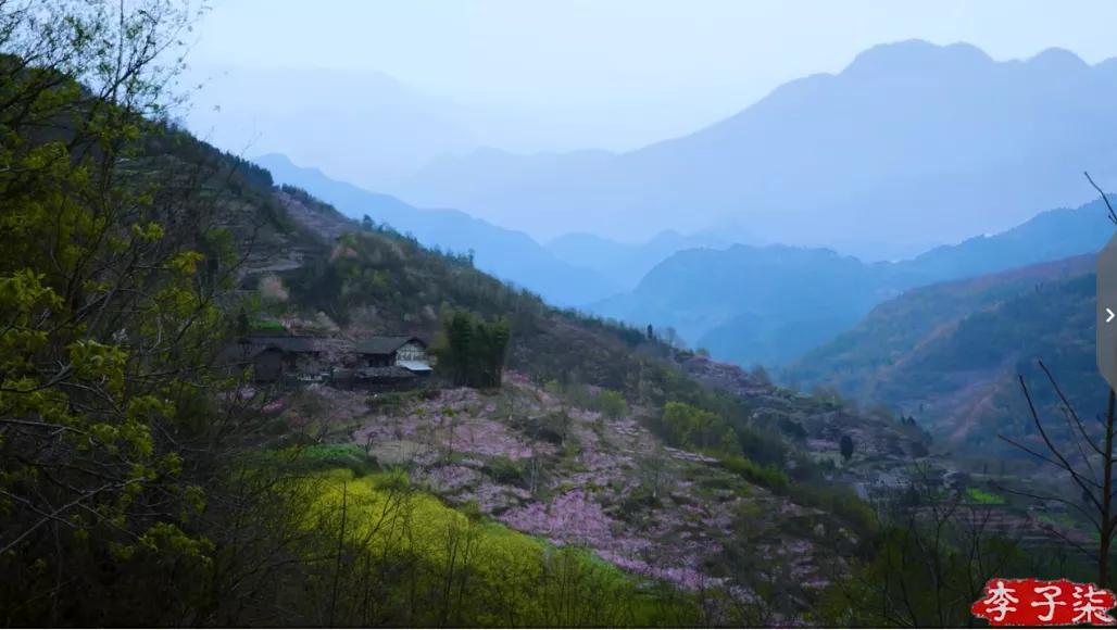 李子柒的鲜花视频,李子柒鲜花宴视频