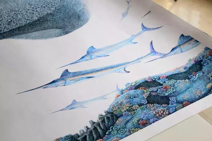 小央美钢笔画视频,极品五大钢笔画简直美爆