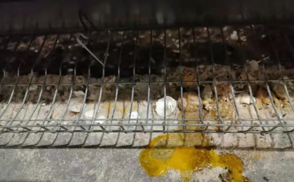 鸡蛋壳很硬的鸡蛋好不好,蛋壳特别薄脆的鸡蛋好不好