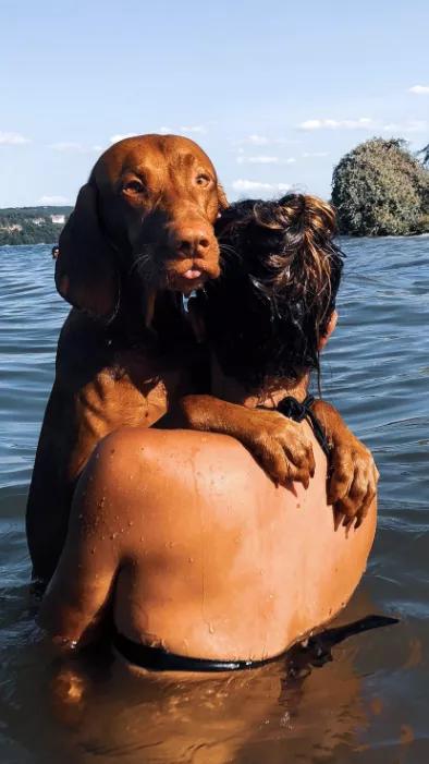 爱心满溢的爱宠之国你知道最受意大利人欢迎的萌宠是什么吗