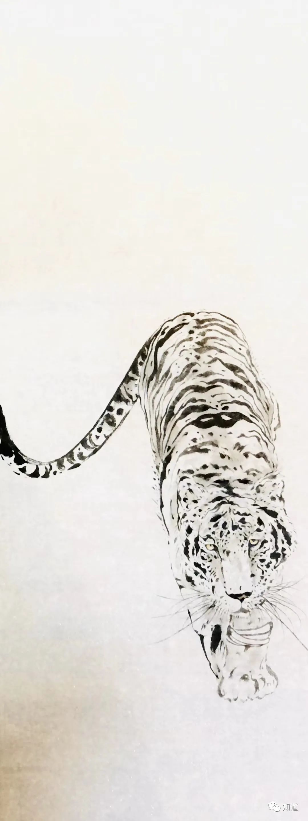 一位画家的文章,一位画家的图片