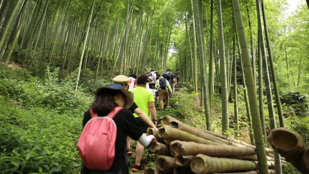 站点新闻|新站点首期会员活动“寻找菩提岛”之莫干山之旅