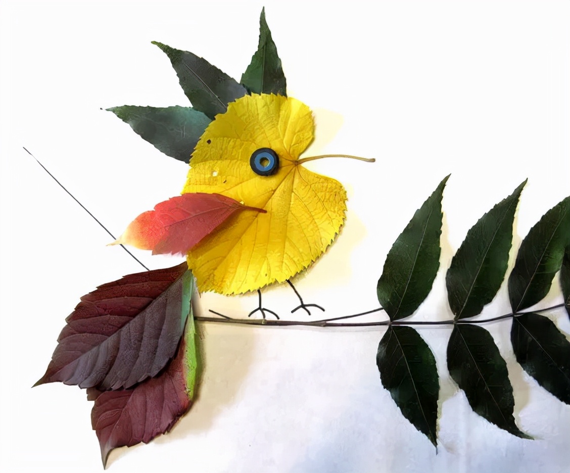 有多少种各种各样的小动物呢,用落叶做可爱的小动物