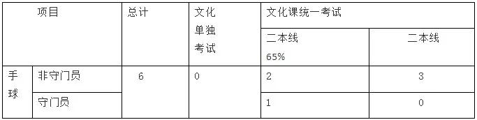 手球高水平运动员学校,2021手球高水平运动队招生简章