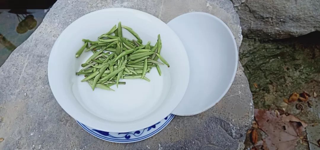江苏绿茶十大名茶,江苏宜兴绿茶价格表