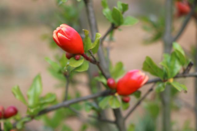 贵州省福润集团有限公司,贵州福润农资