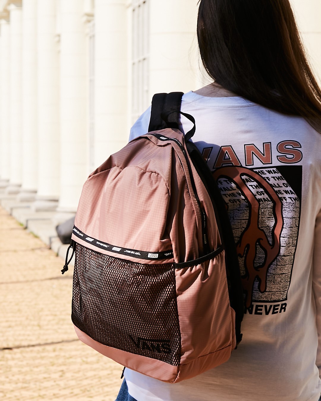 芳心收割机评测,芳心收割机全文在线阅读