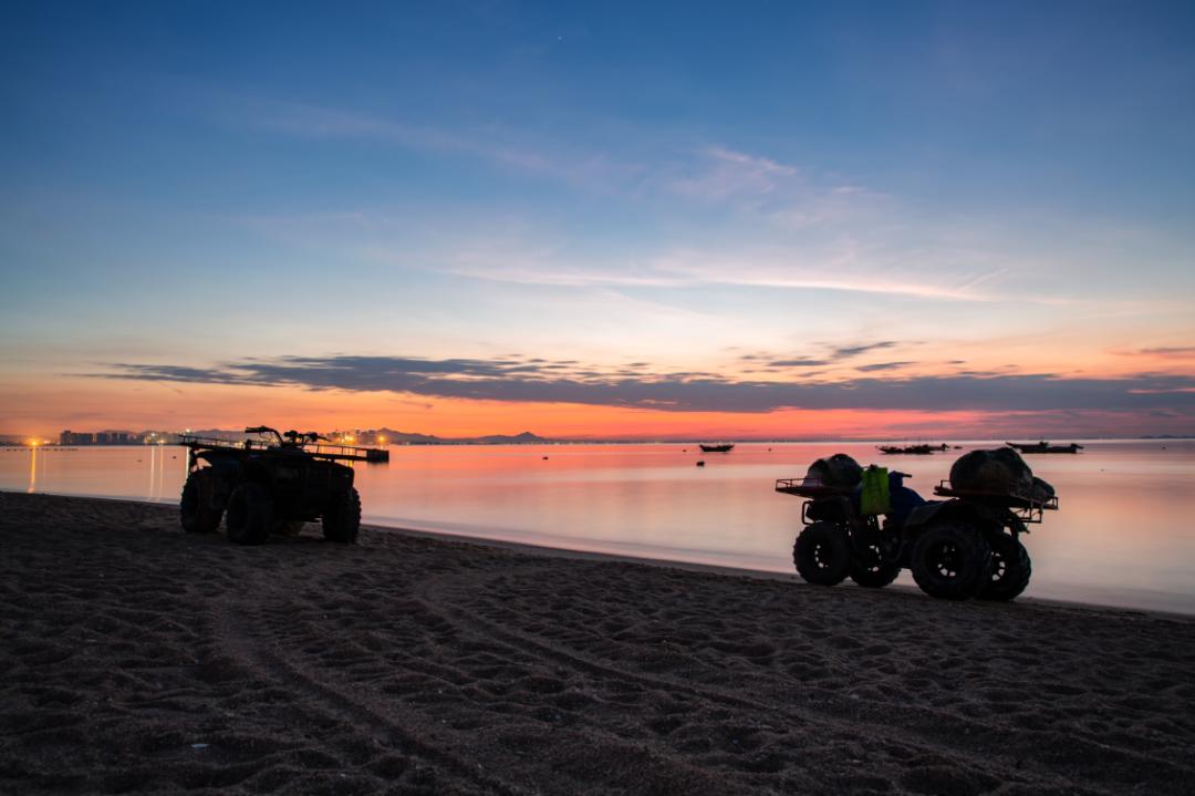 万亩花海游玩,湿地公园网红打卡地花海