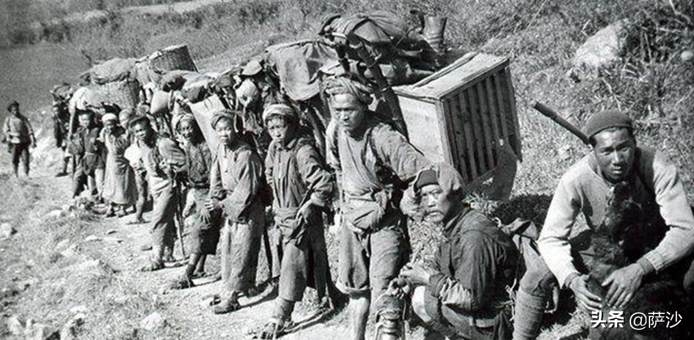 熊猫是如何被发现的英文版,熊猫是哪一年被人类发现的