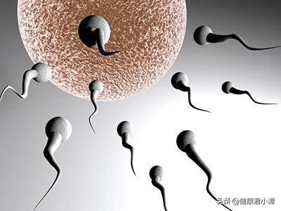 精子的研究,精子医学研究