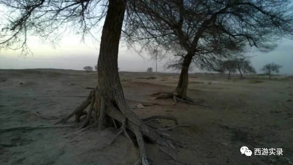 自驾环球回上海第一天就难忍受雾霾，还是国外的空气好，怀念