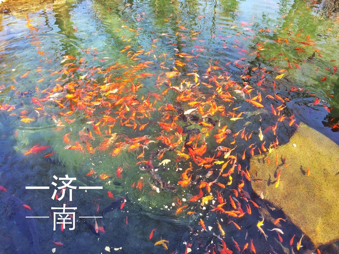 济南攻略一日游必去景点,济南章丘一日游必去免费景点