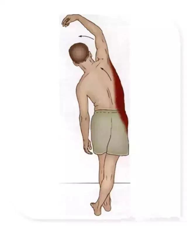 怎样练成比较瘦的腿,怎么练成瘦肌肉腿