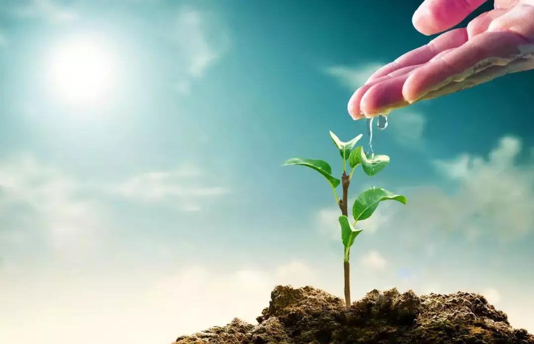 那些真正厉害的人,那些厉害的人都经历了什么