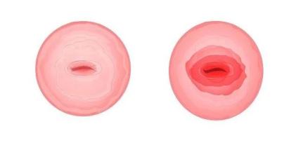 预告|明天中午11点，这场“云”直播与您开聊闺蜜话题