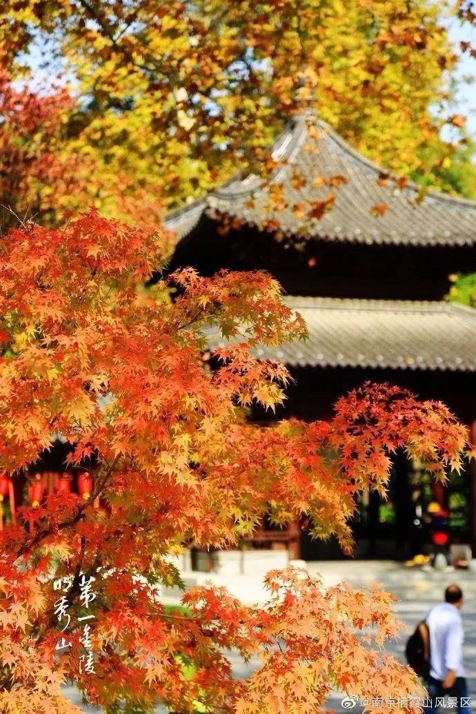 南京天空之镜高清图,中国五大惊艳世界的城市