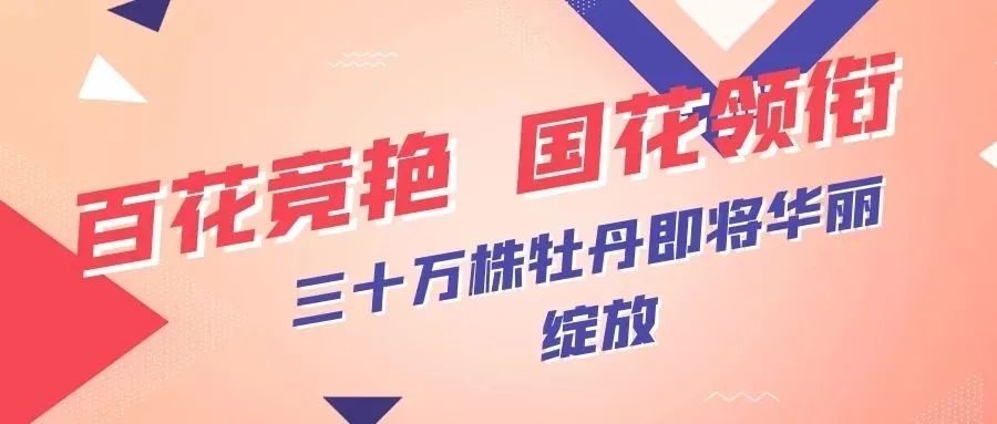 华酝牡丹园紫藤花,华酝牡丹园格桑花