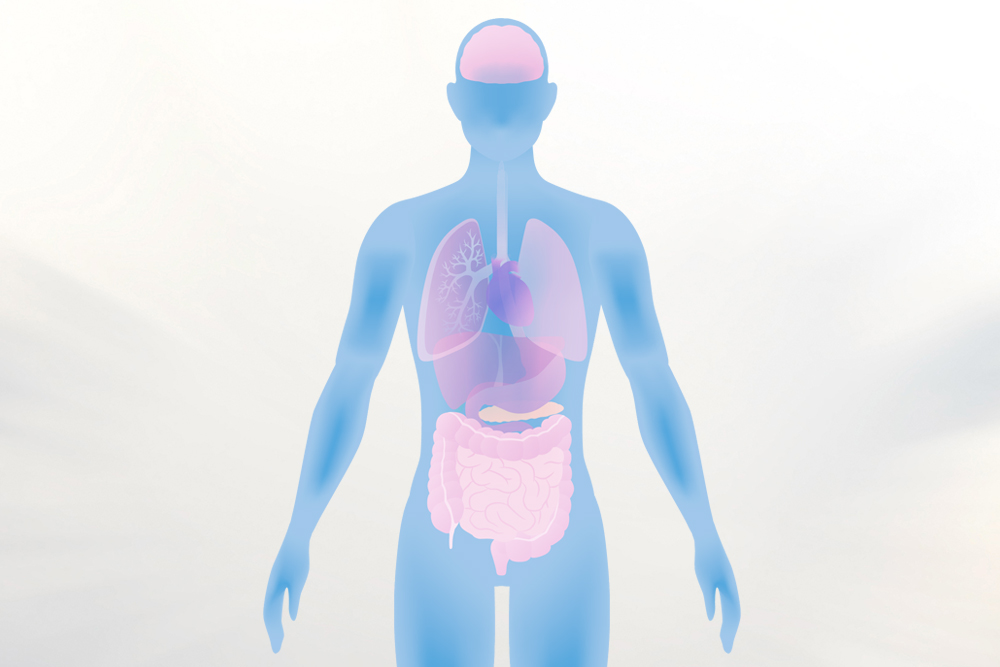 人去世了人的基因还会跑到哪里,人死后身体各个器官最后的使命