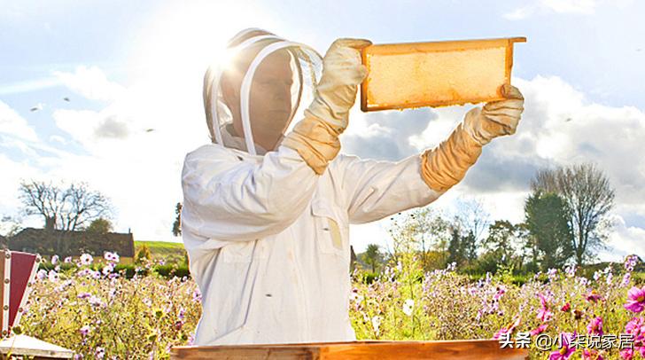 定期清洁补水修复,清洁修护补水可以同时用嘛