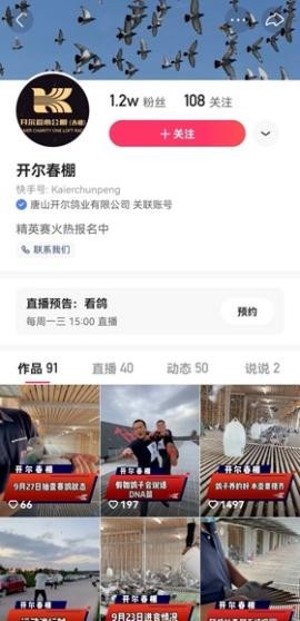 开尔鸽业春赛第一名,开尔鸽业1000多万的鸽子