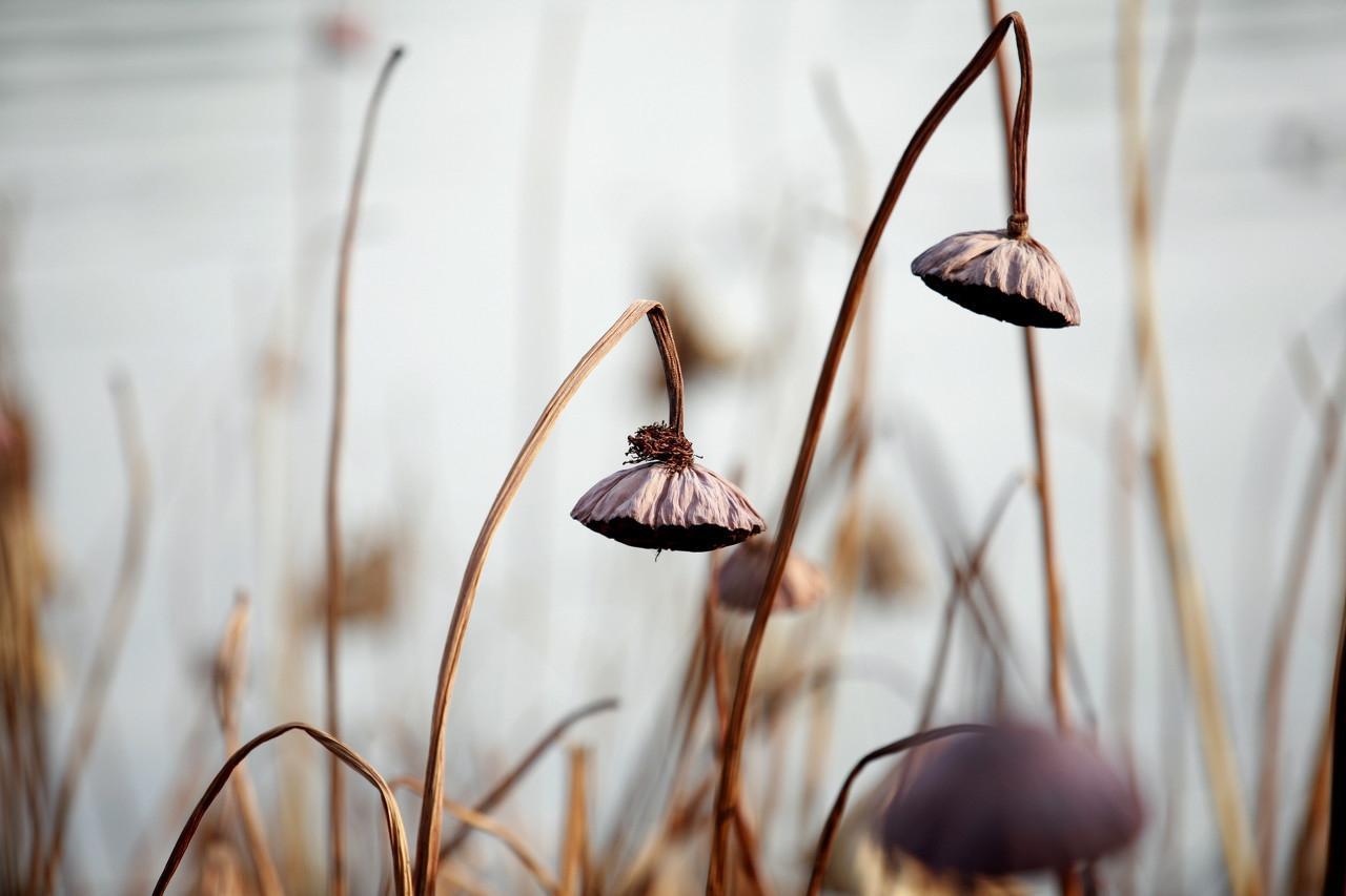 善与恶相对的区别,善与善良的区别