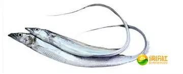 舟山4月份海鲜攻略,舟山海鲜代加工攻略