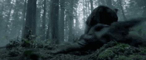 遇到熊如何保命,遇到熊如何自救动画