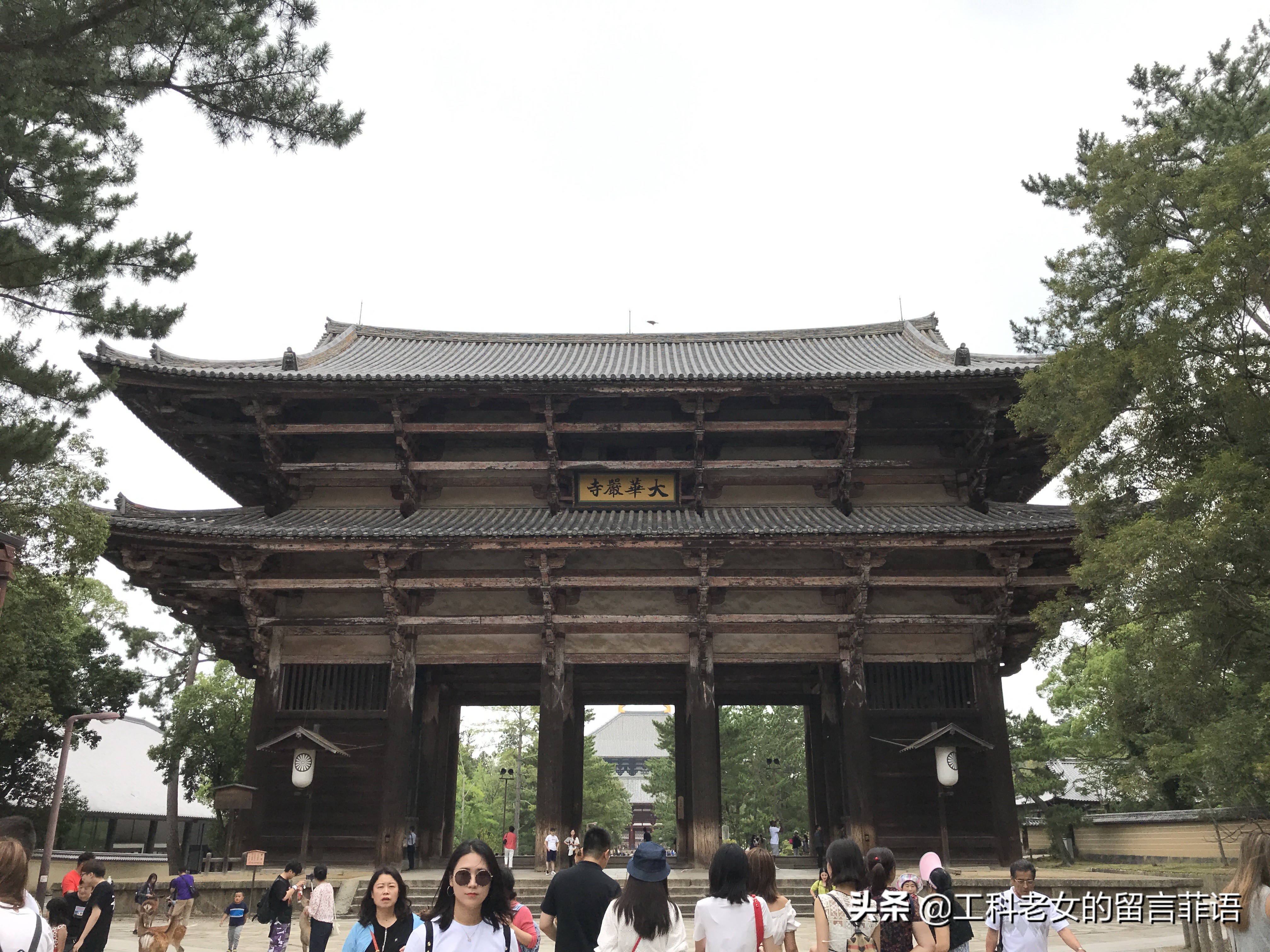 奈良东大寺大佛殿和太和殿,奈良东大寺位置地图图片