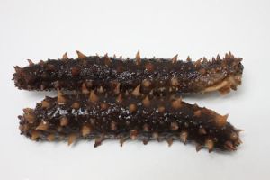 什么样的海参最好怎么挑,什么样的海参最好吃