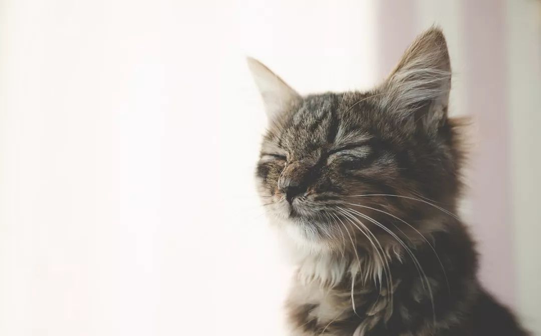 深圳真正的富人真实生活,深圳土豪的现状