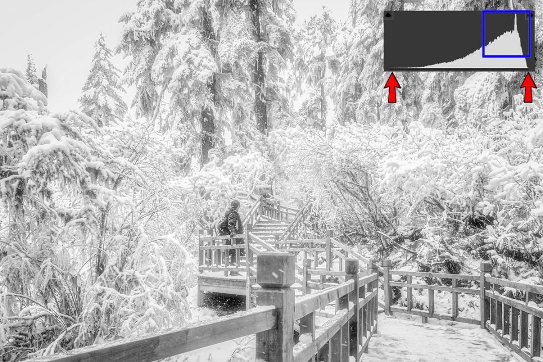 学好黑白摄影先了解这十种影调,十种影调图片大全