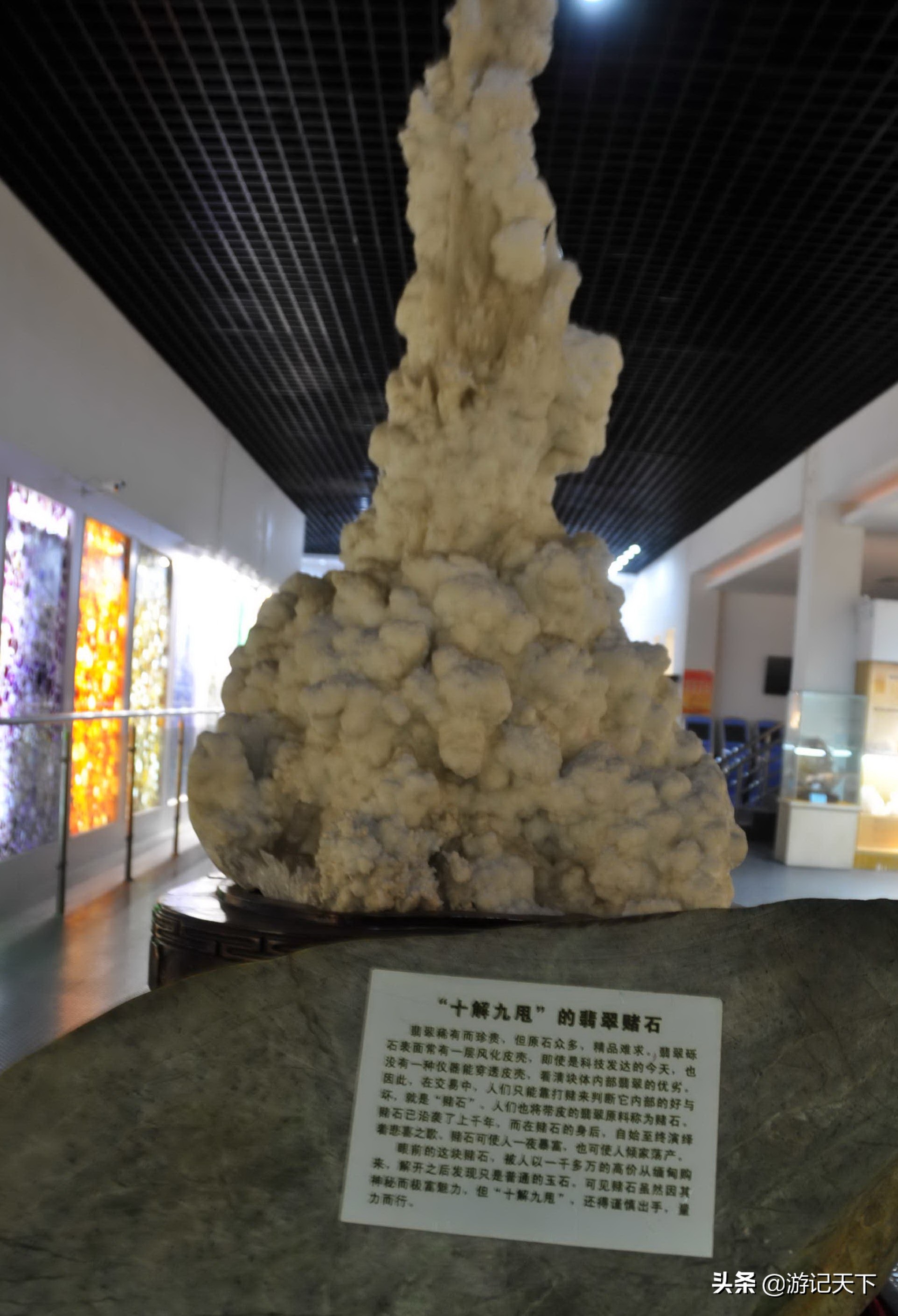 参观上海东方地质科普馆,上海东方地质科普馆需要预约吗