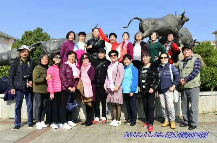 难以释怀的知青情结,60年代的知青情结