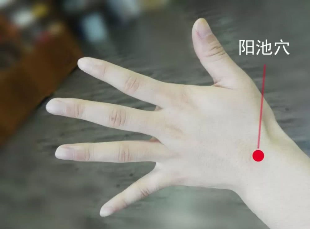 脚背长湿疹是湿热重的表现吗,爱长湿疹皮炎是湿热重还是脾胃差