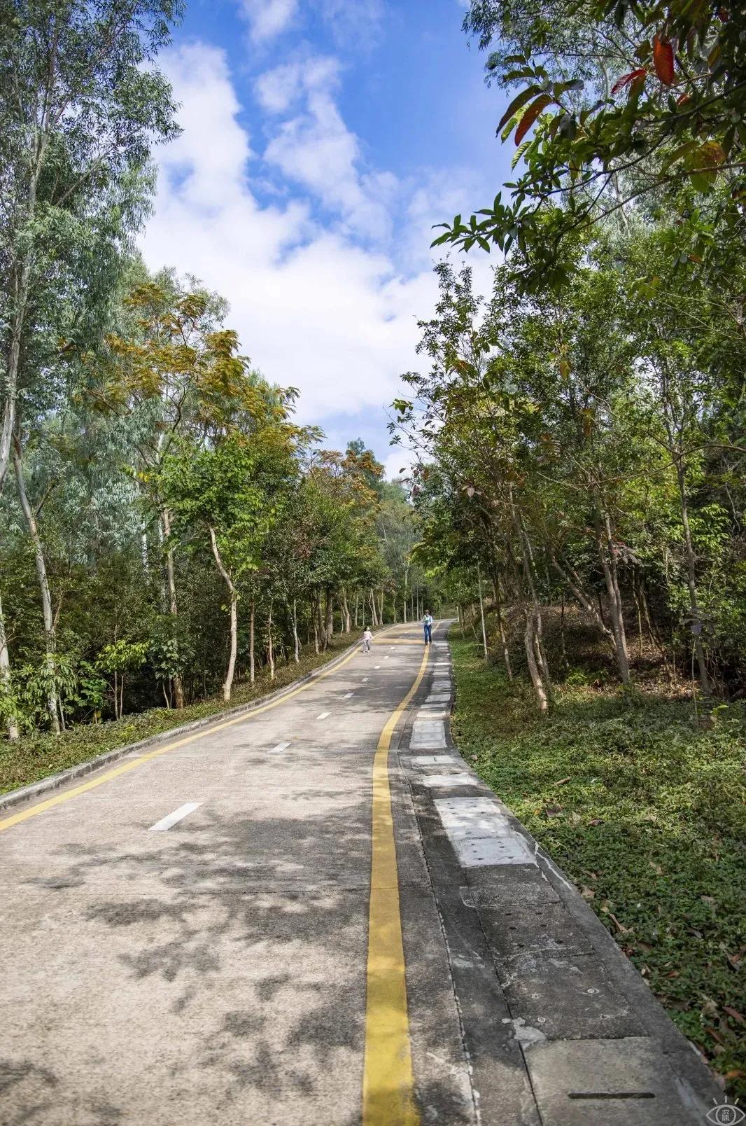 9号线上有什么景点吗,9号线游玩攻略大全