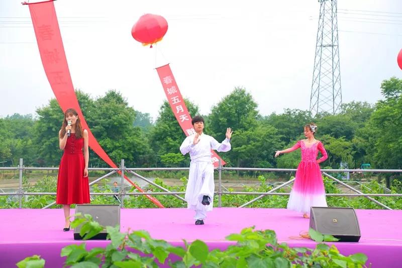 八方游客齐聚桑果紫酒节，共赴这场采桑品酿盛会