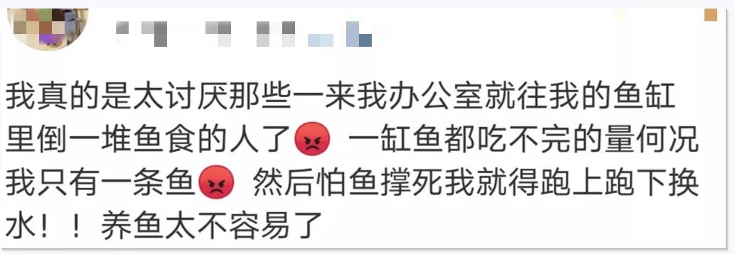 锦鲤价值2千万,锦鲤价值一亿