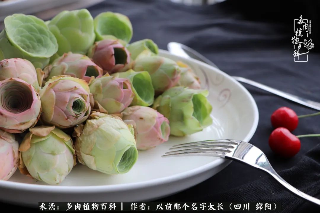 山地玫瑰夏天,夏季的山地玫瑰