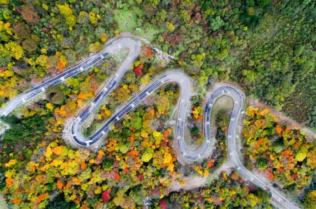 九寨沟路上招手,前方到站宁强