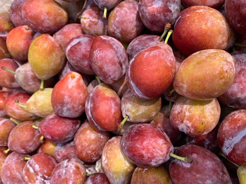 清明前后有啥好吃的水果,清明过后这四种水果建议大家少吃