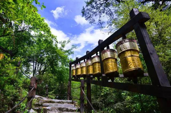 iq重回巅峰了吗,iq怎么释放最强性能