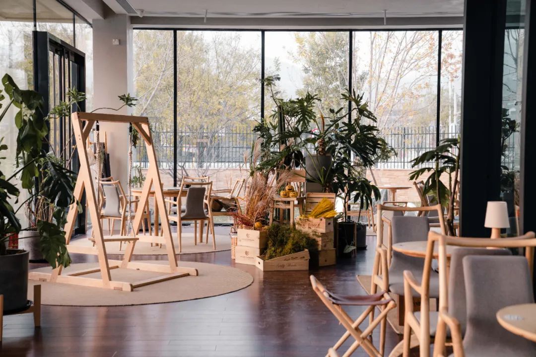 京城首家！探秘最热门“一尺花园”咖啡馆，西山脚*体下**会海派腔调