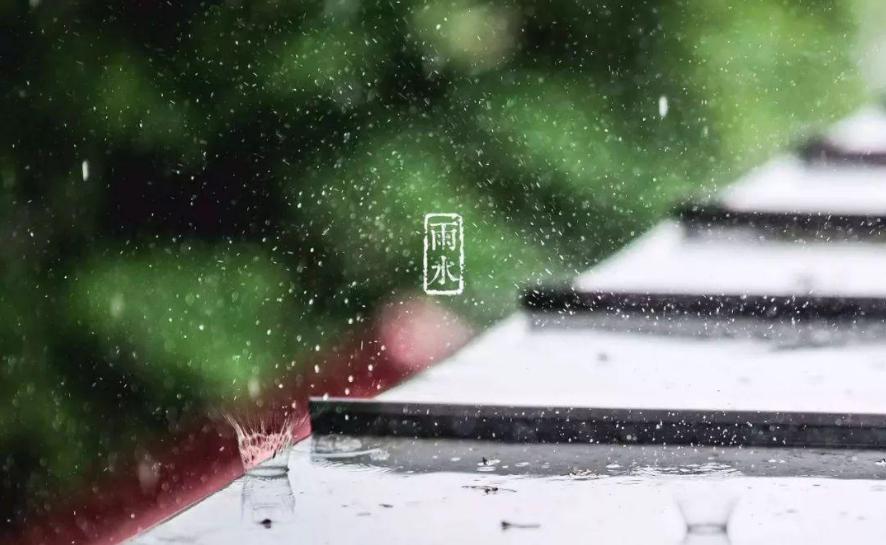 诗词好雨知时节,《春雨》诗词品读