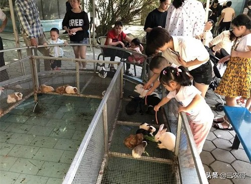 农村现在挣钱的门路有哪些,农村赚钱三个门路