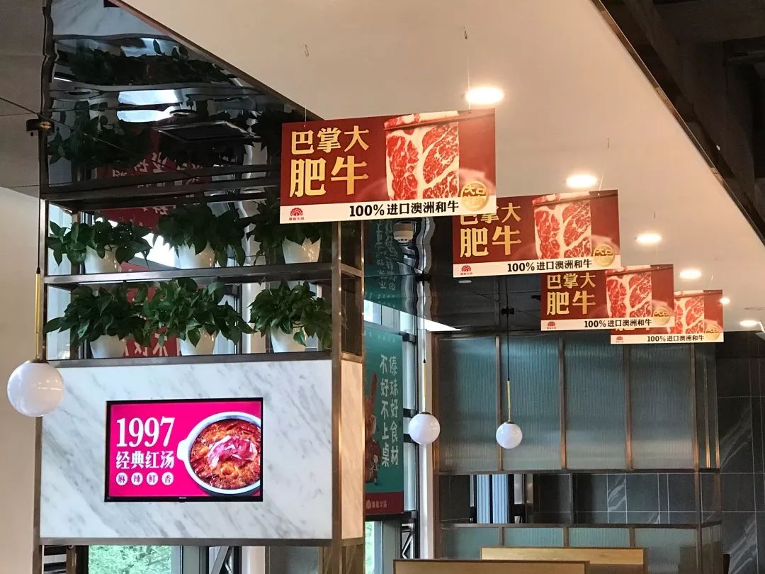 傣妹火锅的兴衰,傣妹火锅品牌策划