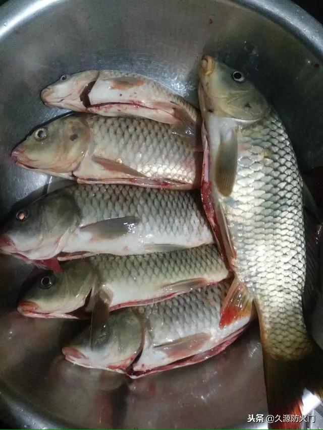 天时地利人和方为致胜,天时地利人和钓鱼