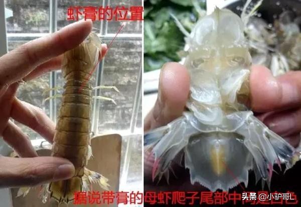 海鲜干货推荐烟台店有哪些,烟台海鲜干货怎么挑