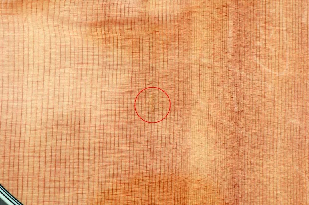 泰勒414ce底价,泰勒414ce和614ce如何选择