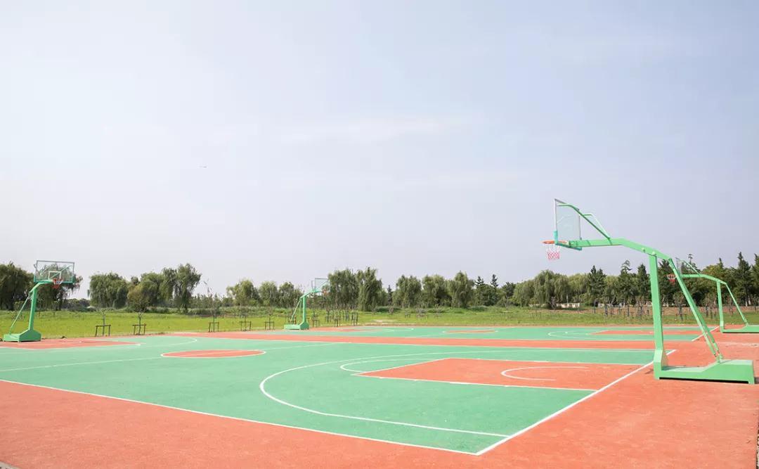 无锡人常去的这个公园焕然一新,无锡10大公园